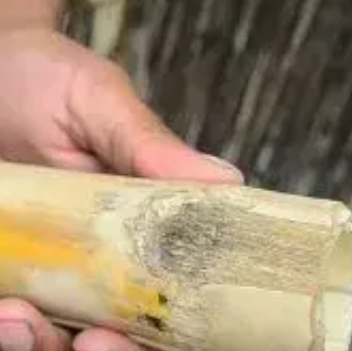 Bodo Thorkha bamboo clapper