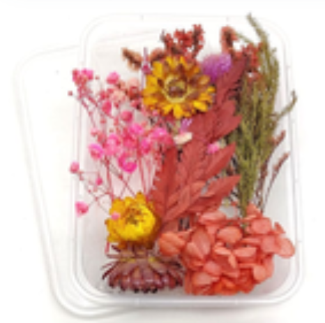Air-dried flower arrangement