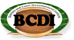 Bamboo and Cane Development Institute